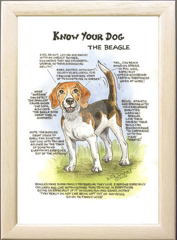 Image of The Beagle